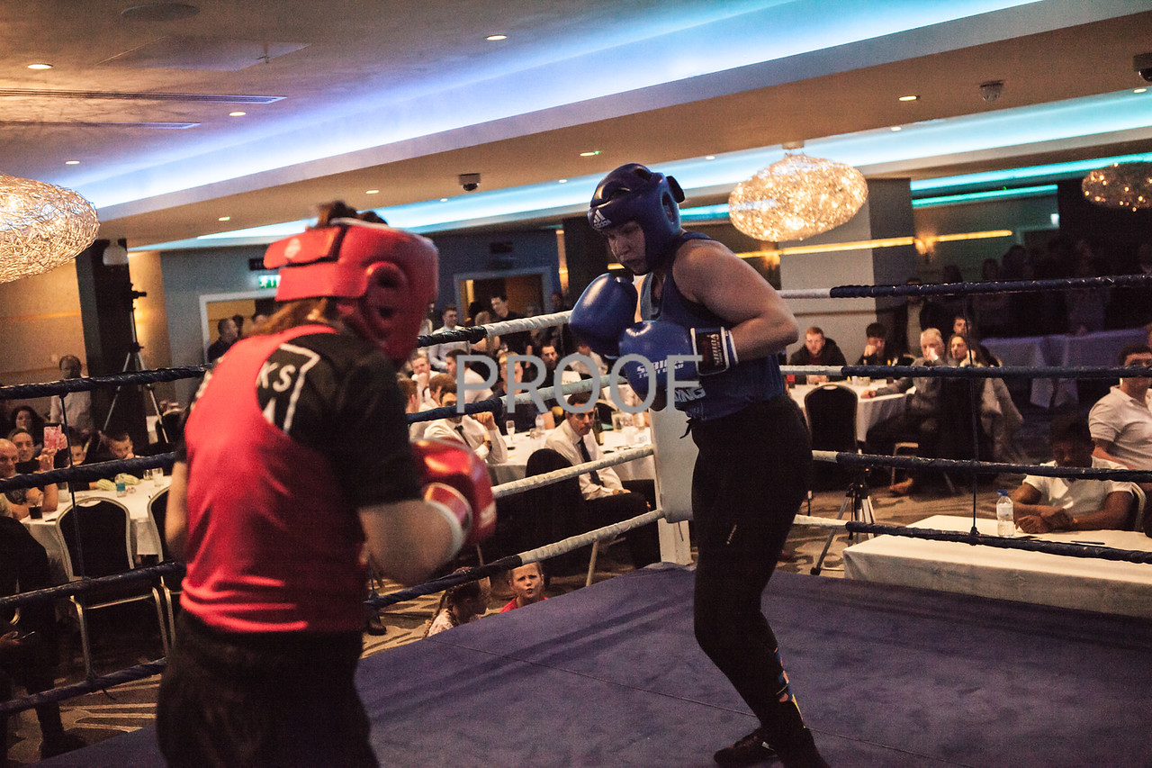 Boxing 2